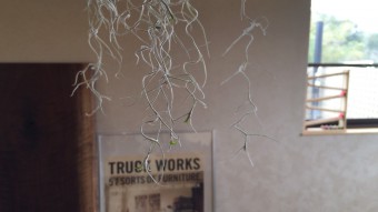 IMG_7518