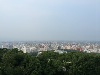 IMG_2890
