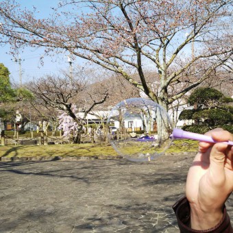 しゃぼんだま画像｜岡崎市・豊田市を中心に注文住宅、新築一戸建てを手掛ける共感住宅ray-out（レイアウト）