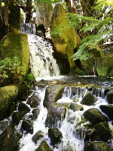 徳川園のお庭も、巨大な外構です