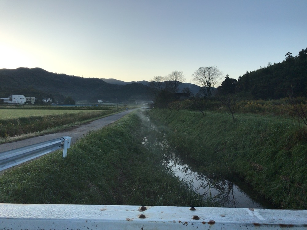 朝の土手、川から立ち上る湯気のようなもの