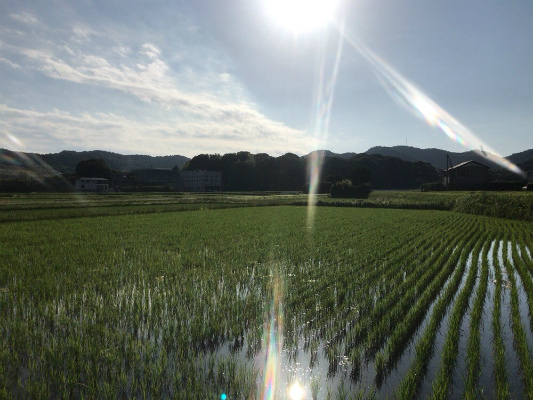 幸田町・岡崎市・豊田市を中心に注文住宅、新築一戸建てを手掛ける共感住宅ray-out（レイアウト）付近の画像