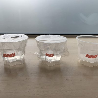 5年生の理科の実験1