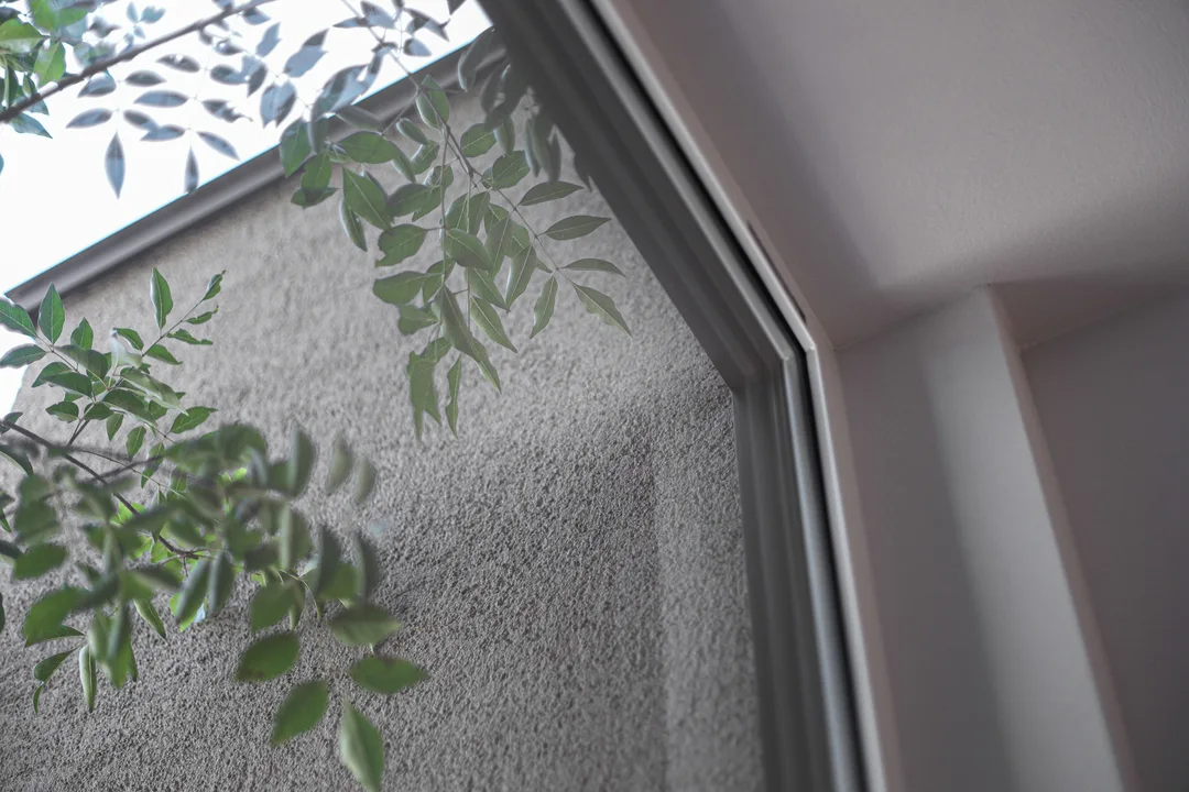 窓の向こうに木の葉とベージュの塗り壁が見える
