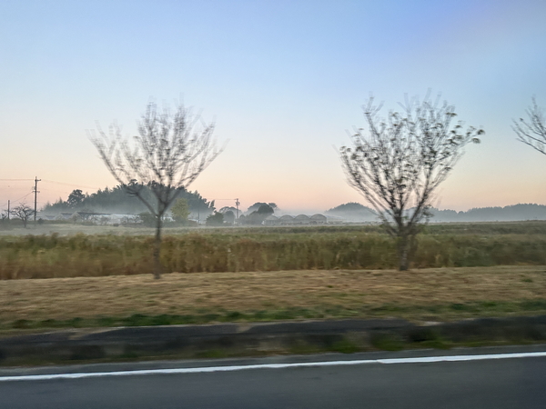 枯草色の田畑の奥に地面に溜まったような白い霧が見える朝の景色