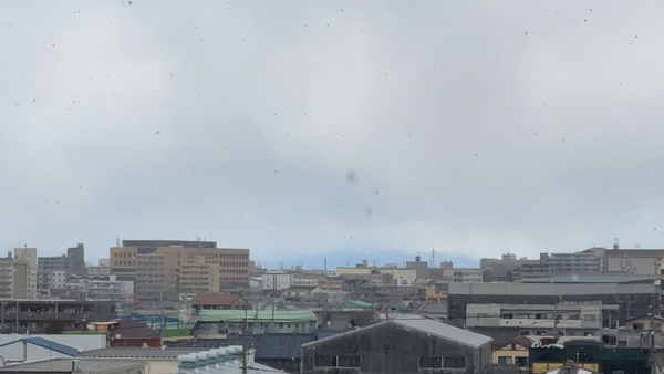 雪の降る名古屋市内