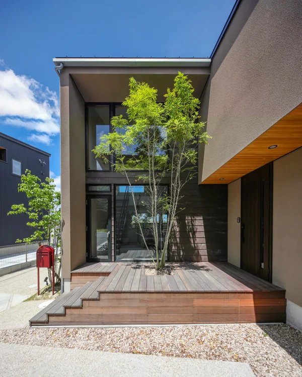 屋根までの高さのシマトネリコが、家の前のウッドデッキに植わっている。シマトネリコをL字で囲うように家が建っている