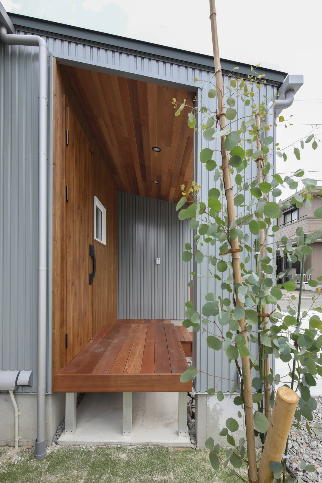 玄関ポーチを横から見た写真。左側は室内、右側は駐車種ペース。1mほどの木が出ていて、軒天はレッドシダー貼り。手前にユーカリポポラスが植わっている