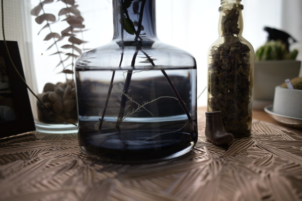 水の入ったガラスに差したハッカの茎から発根している様子