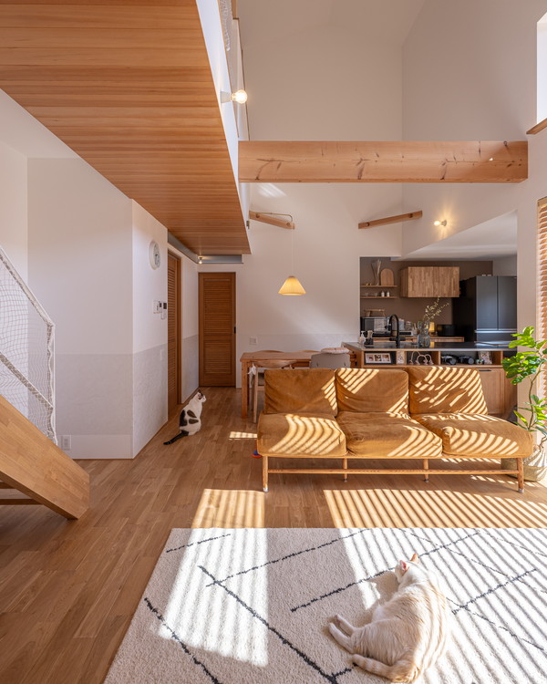 白い壁と木の床のリビング。ラグの上に白い猫が寝ころんでいる。奥には黄色いソファが置かれている。