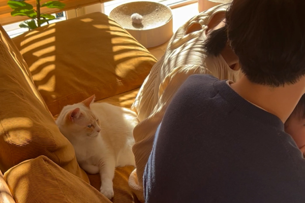 家族で相談する様子のイメージ写真