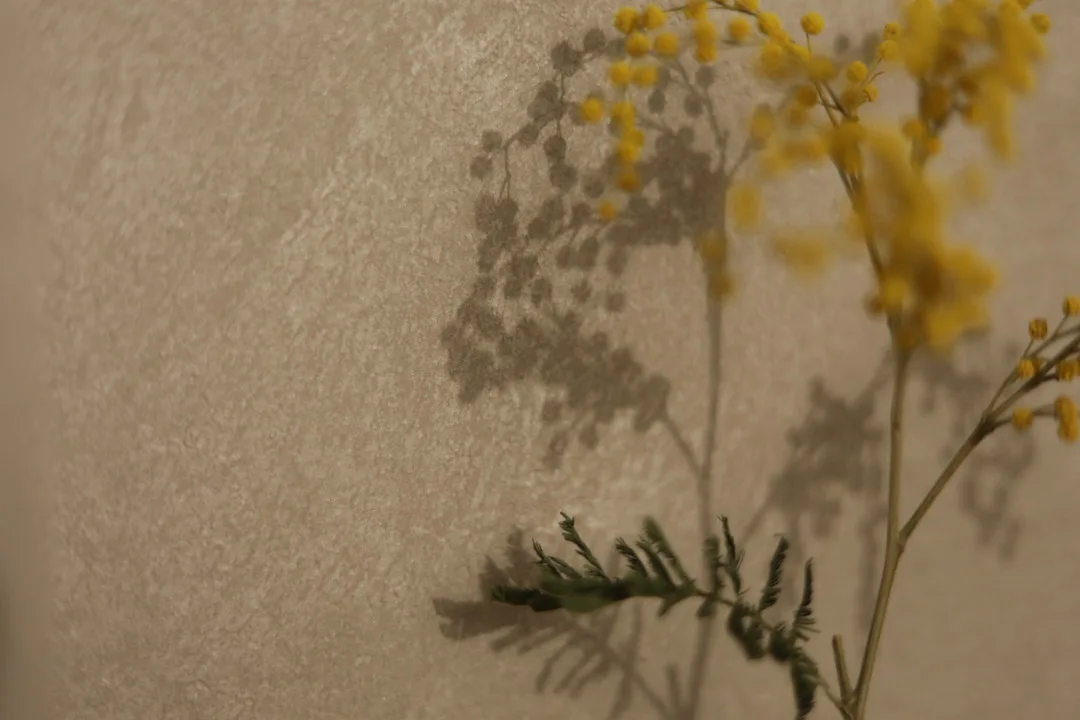 ベージュの塗り壁風のビニルクロスに、ミモザの黄色い花と緑の葉の影が優しく映し出されている様子。