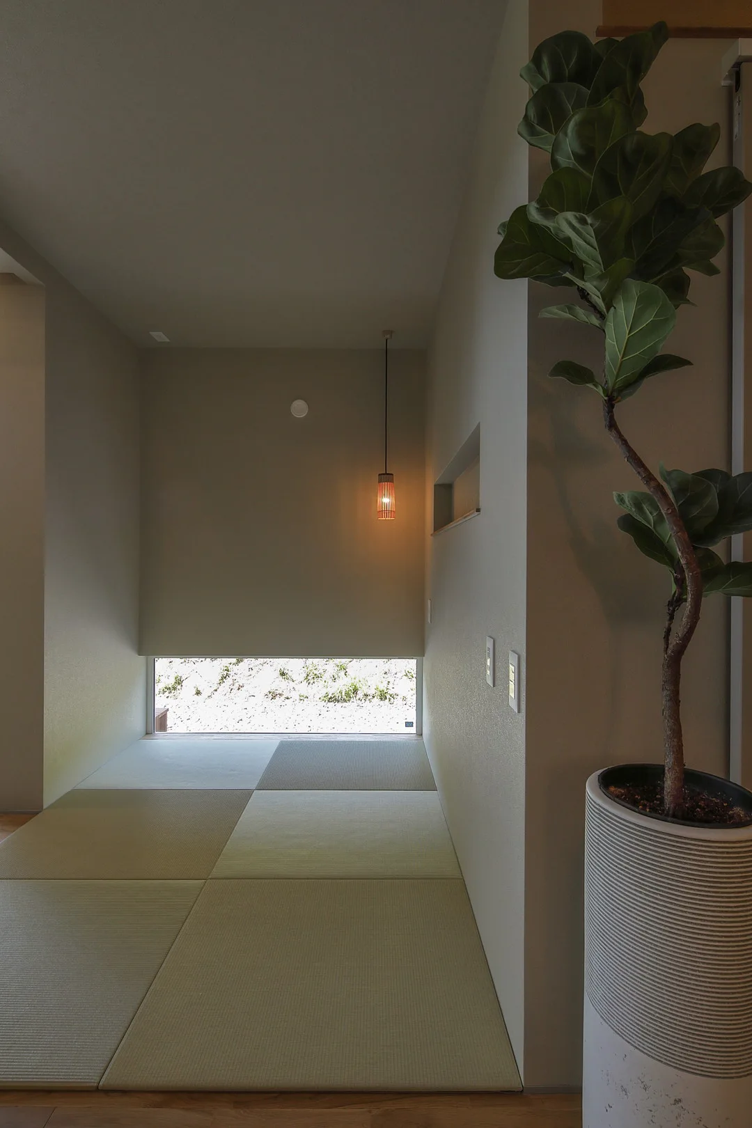 畳が敷かれたモダンな和室。壁際には大きなフィカス・ウンベラータの鉢植えが置かれ、低い横長のスリット窓から屋外の景色が見える。
