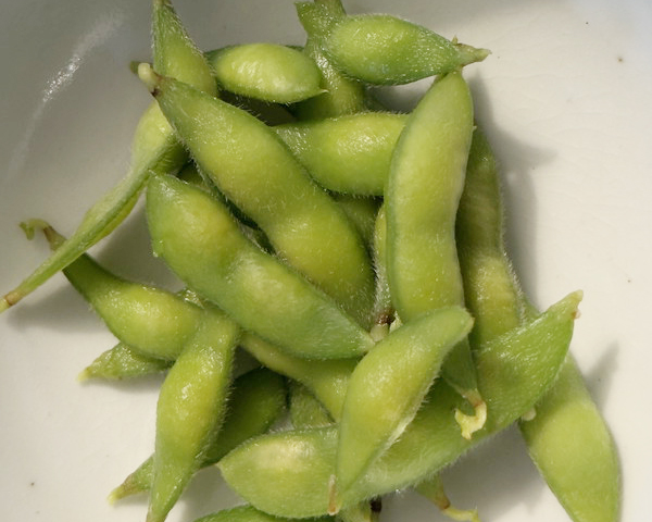 家庭菜園の枝豆