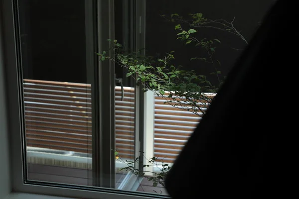 ダイニングとリビング。ダイニングテーブルの傍には四角の窓があり、植物実が見える