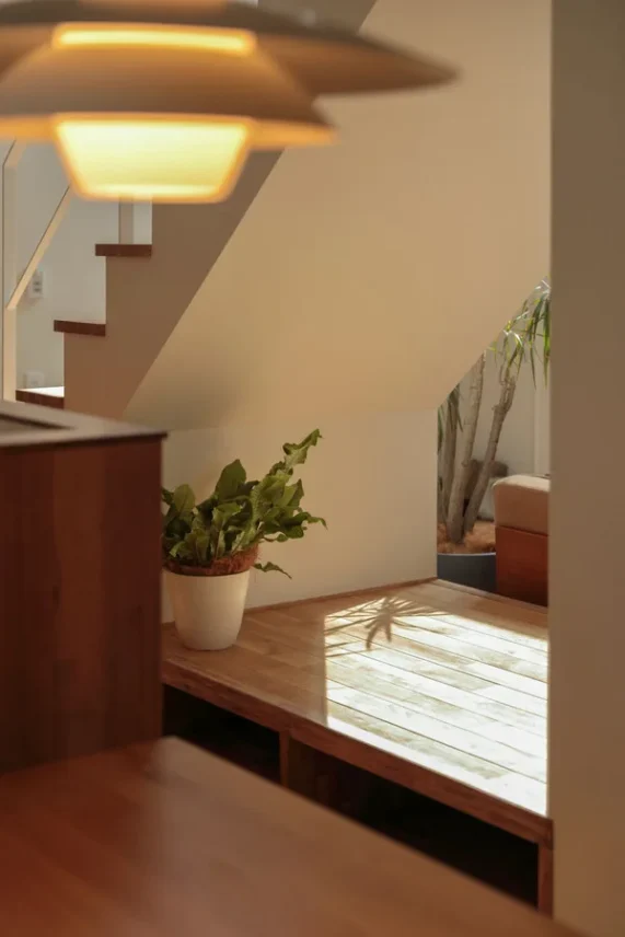 階段下のヌック。植物の影が映っている。