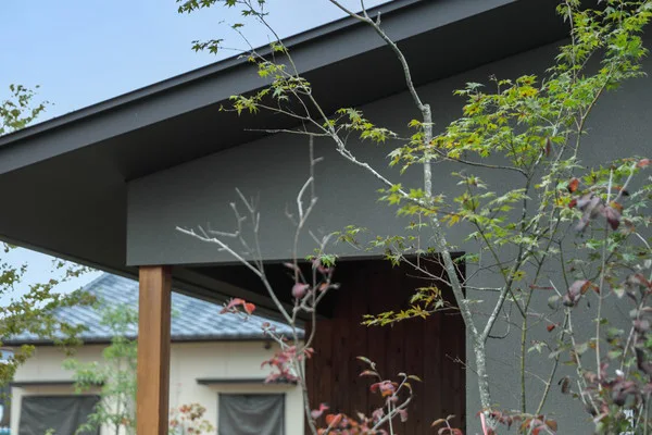 三角屋根の一部。壁はグレー。木の柱が見える。手前には植栽がある