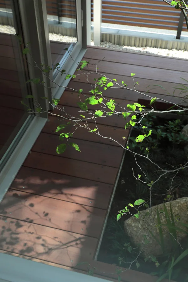 ヌックから見た窓の下の景色。中庭の樹とウッドデッキが見える