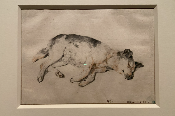 犬の素描。コルネリス・フィッセル「眠る犬」スウェーデン国立美術館 素描コレクション展 ―ルネサンスからバロックまでで展示