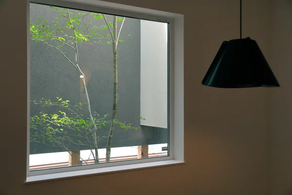 窓から中庭の樹が見える。向こう側は壁があり隣の家や道路から見えないようになっている