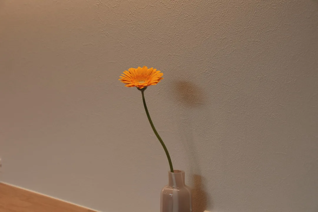 壁の前に置かれた花瓶に生けられた、一輪のオレンジ色のガーベラ