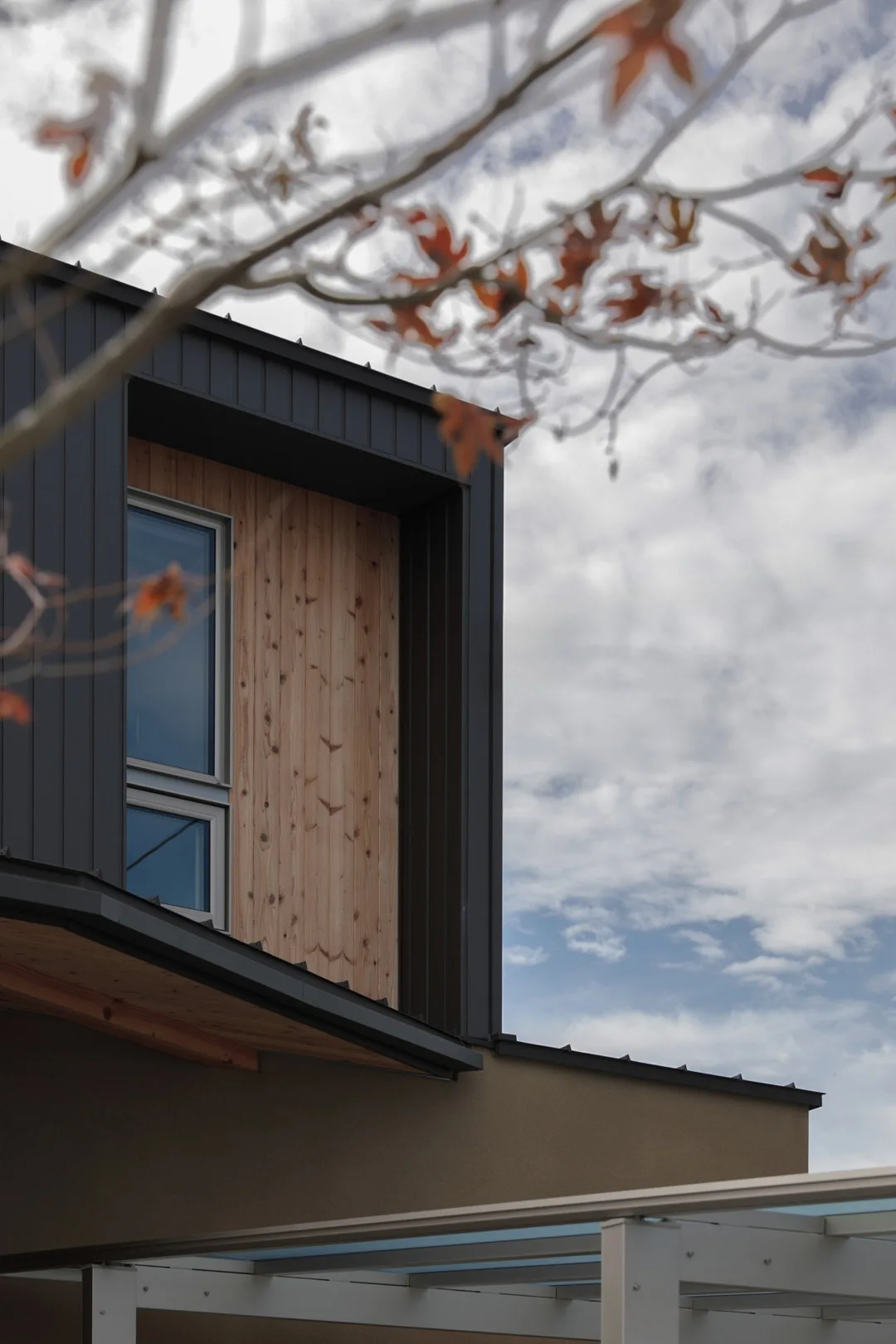 住宅の黒い外壁部分のクローズアップ。木目のアクセント壁と縦長の窓があり、手前には紅葉した木の枝がボケて写っている
