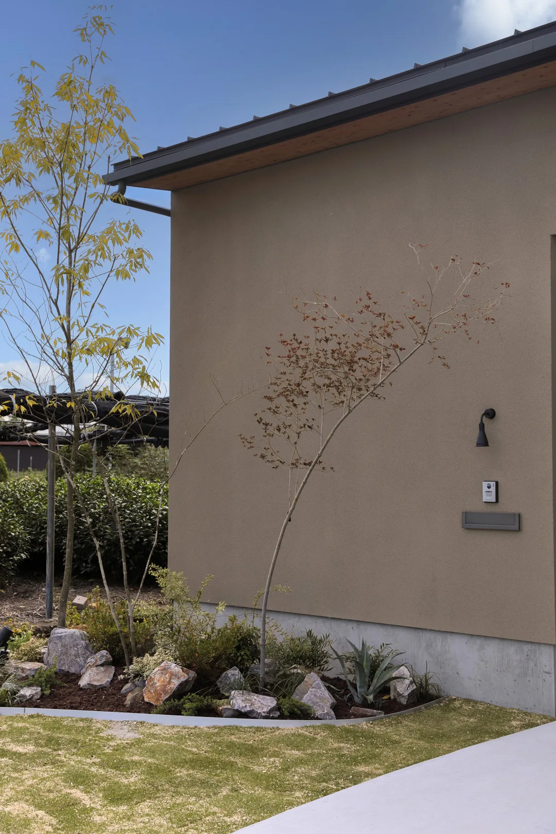 住宅の外壁沿いに作られた植栽スペース。細い幹の落葉樹と足元の砕石み、下草が配置されている