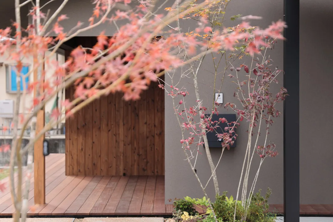  紅葉したカエデ越しに見える、落ち着いた天然木の壁面と黒いポスト、インターホン。