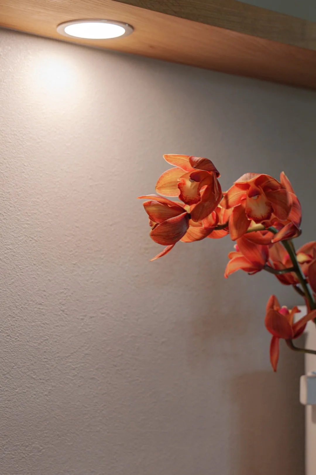 棚下のダウンライトに照らされた、鮮やかなオレンジ色のシンビジウムの花。花弁が光に透けて光っている。