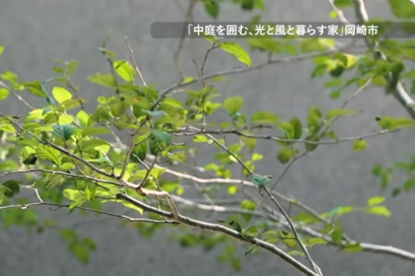 動画紹介のアイキャッチ