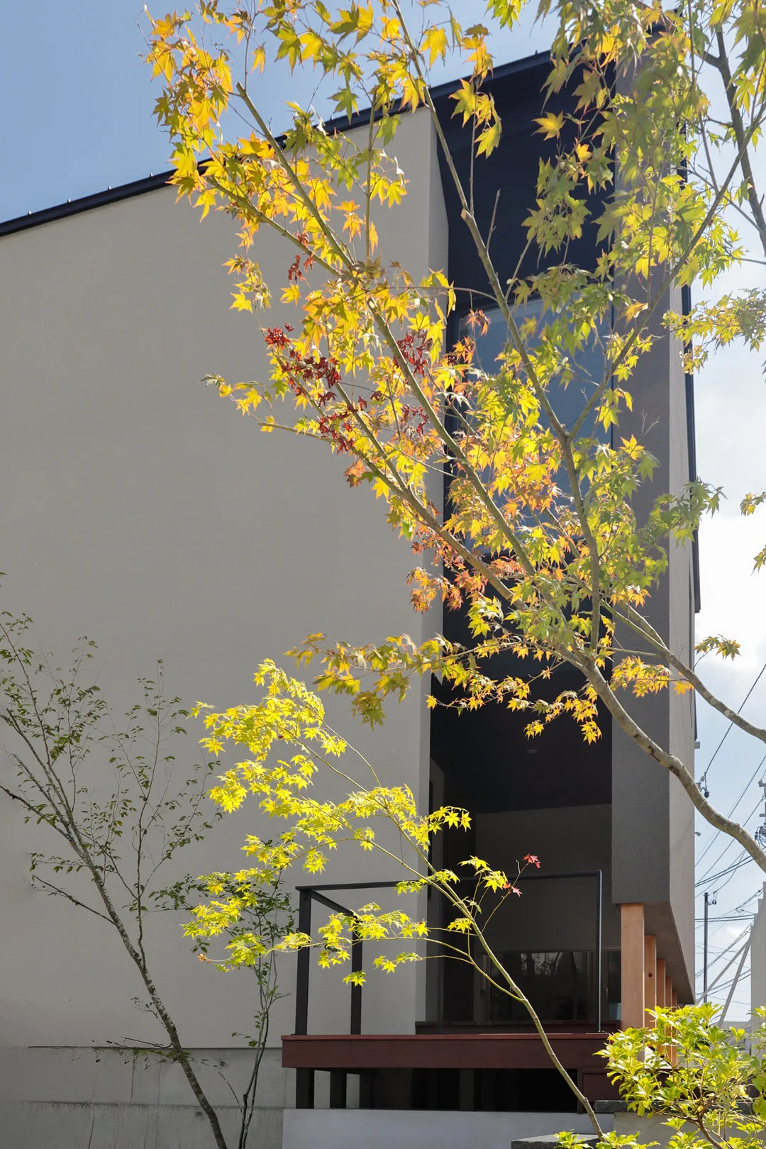 建物の前に広がる鮮やかな紅葉と、背後に建つモダンなデザインの住宅