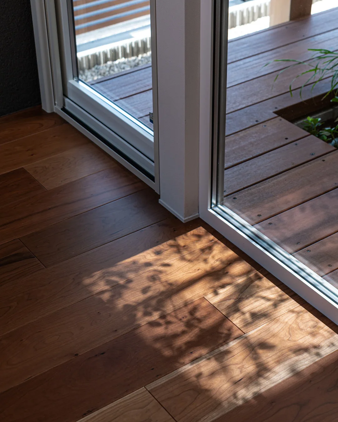 室内に差し込む日差しが作る木漏れ日と、中庭につながるガラス張りのテラスドア