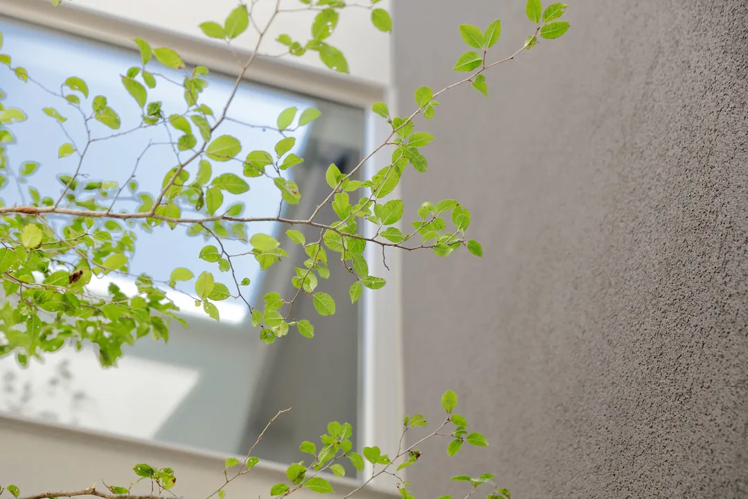 通路と兼用のウォークインクローゼット。奥に収納棚と窓のある明るい書斎デスクが見える。