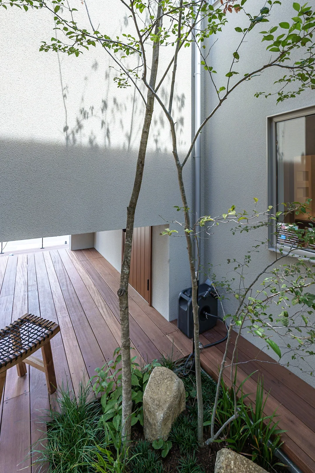 中庭のデッキ床をくり抜いて植えられた木と、その根元を彩る石や下草