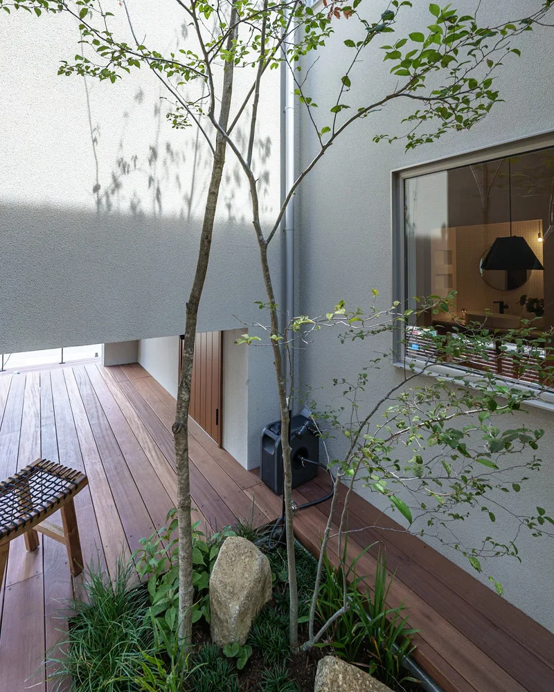 ウッドデッキとシンボルツリーが配置された中庭と、室内の様子が見える窓