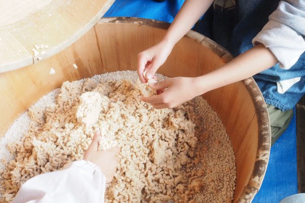 木の樽に潰した茹で大豆と塩と麹が入っている